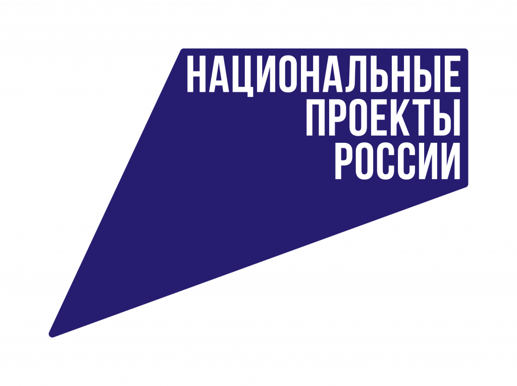 Нац_проекты.png