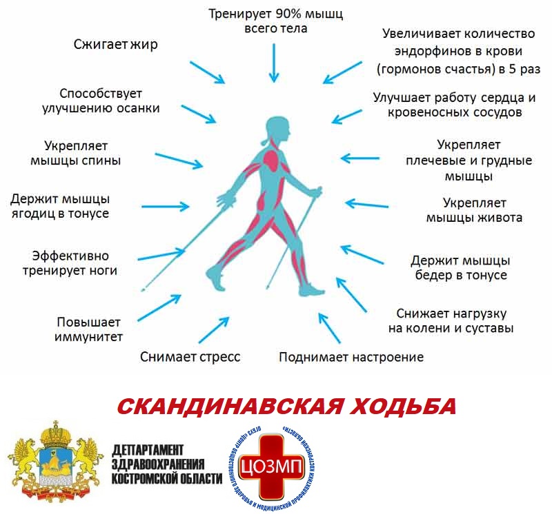 скандинавская ходьба.jpg скандинавская ходьба.jpg