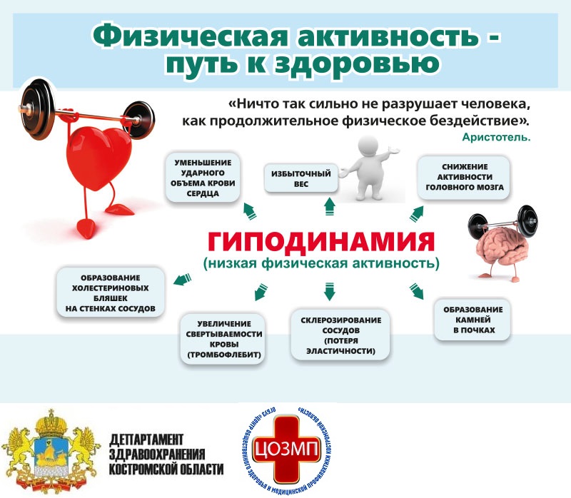 физическая активность листовка.jpg физическая активность листовка.jpg